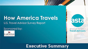 How America Travels 2019 US Travel Advisor Survey (Summary)